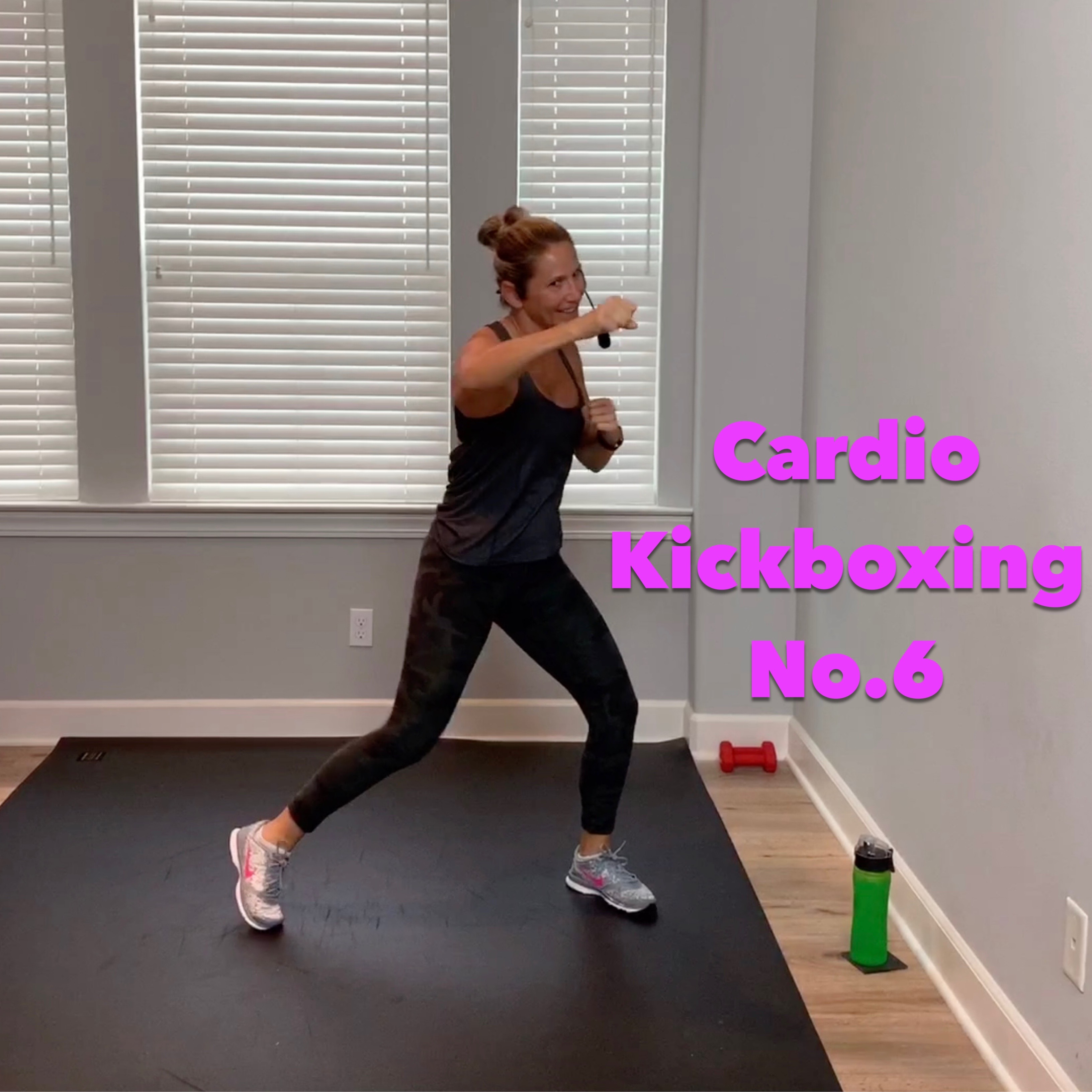 Cardio Kickboxing No.6