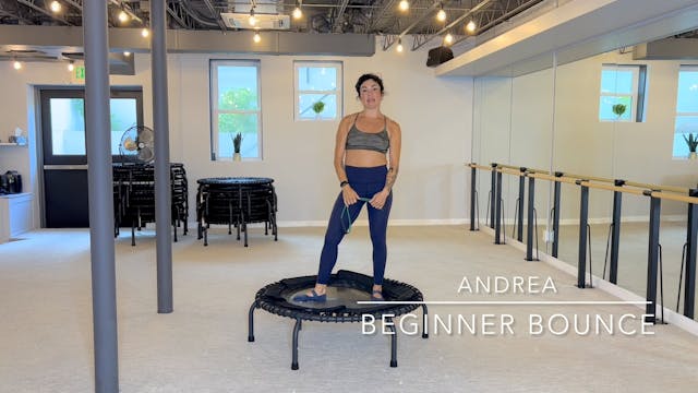 13 Min Beginner Bounce and Arm Quickie