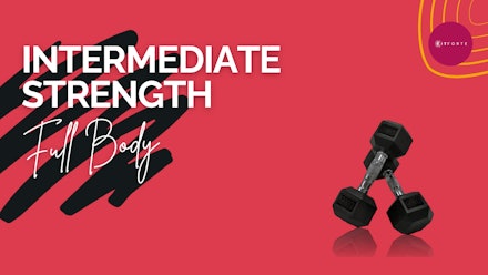 Fit Forte Online Video