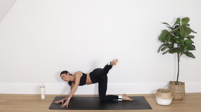 32 Min Booty Sculpt 9 (Prenatal Frien...