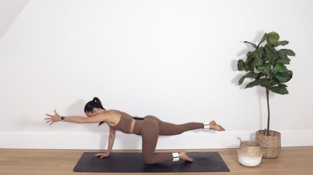 22 Min Pilates Core Work 9