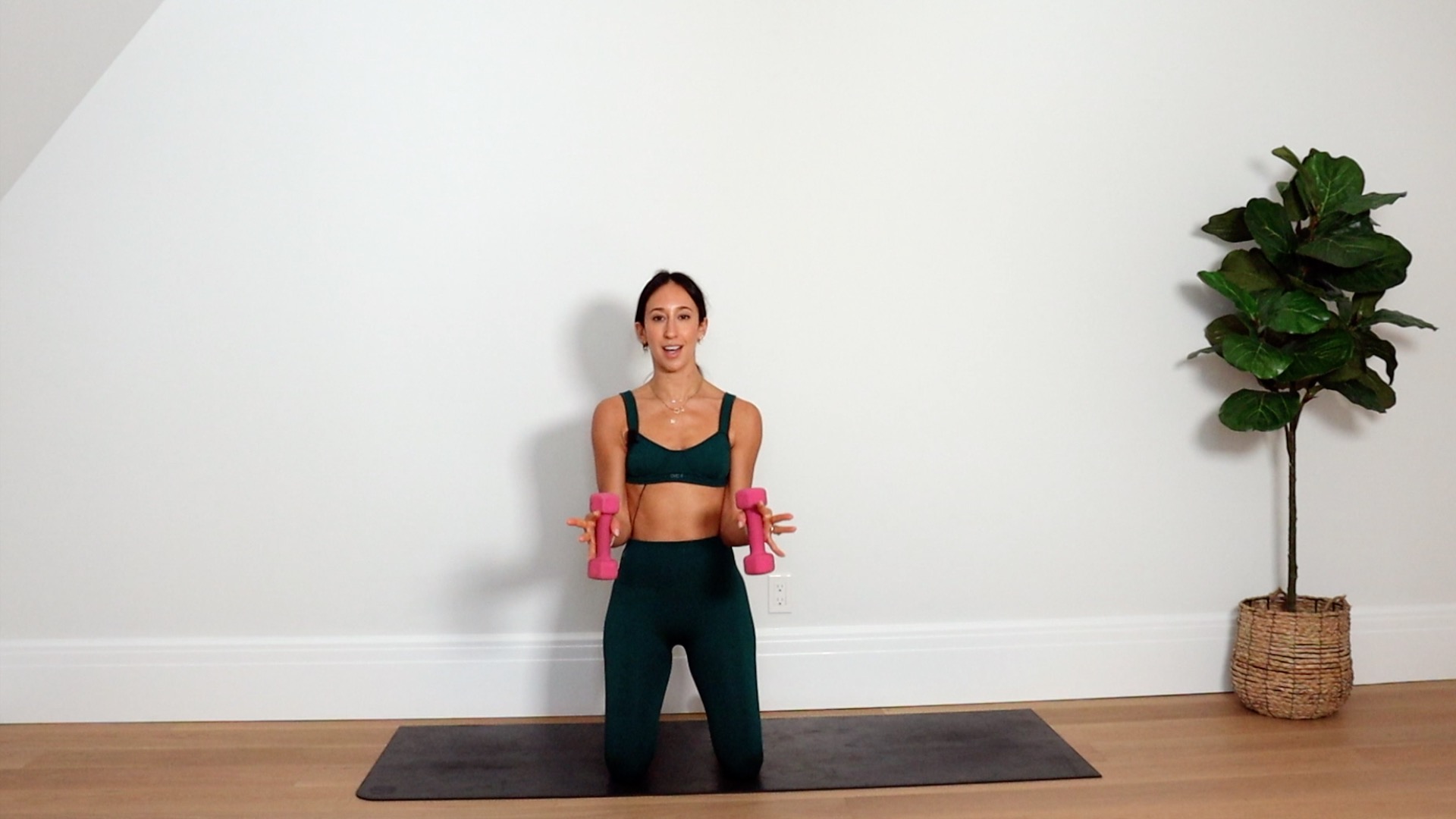 14 Min Back & Biceps Sculpt 1 (Prenatal Friendly)