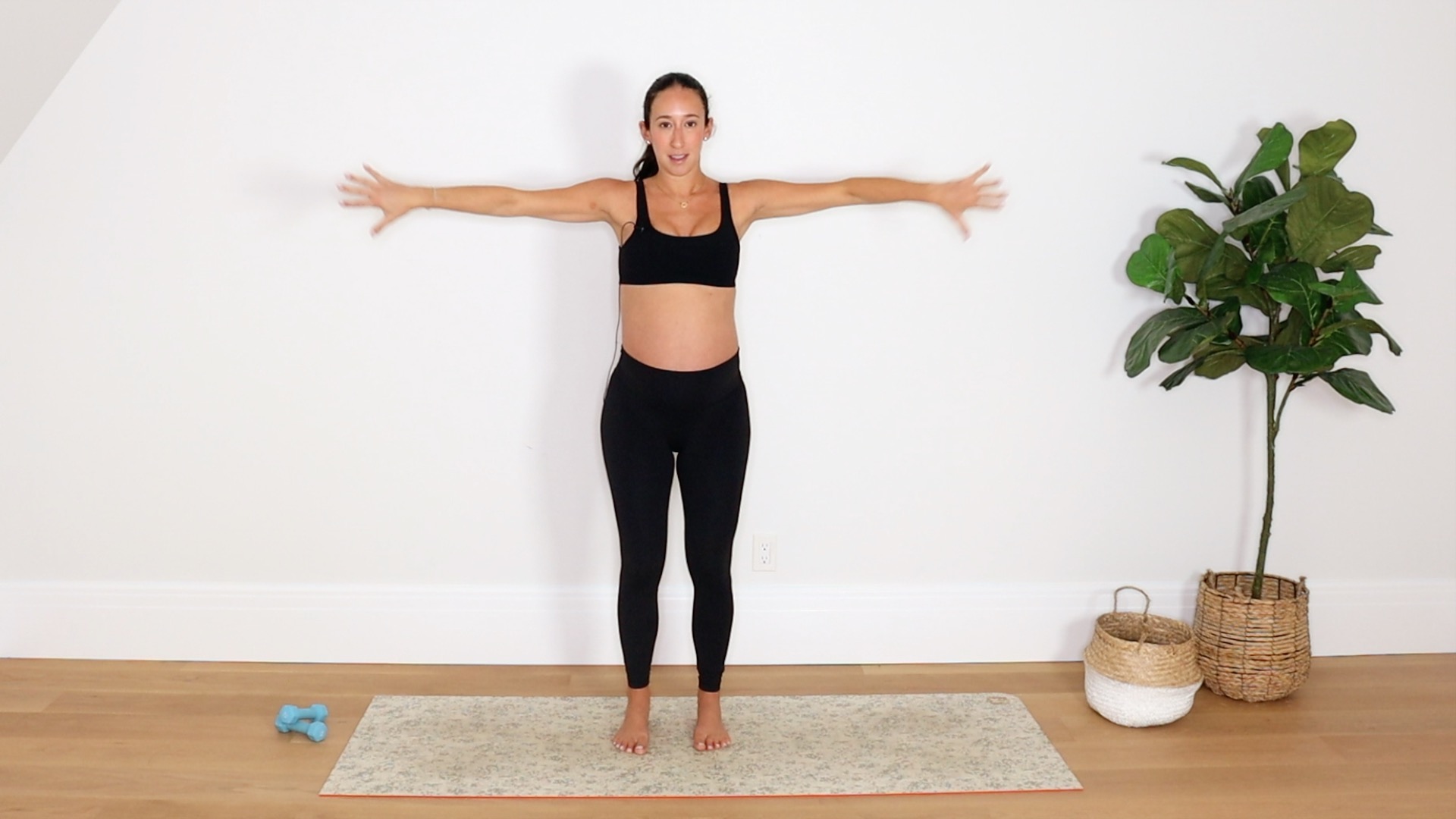 25 Min Spicy Arm Sculpt 9 (Prenatal Friendly)