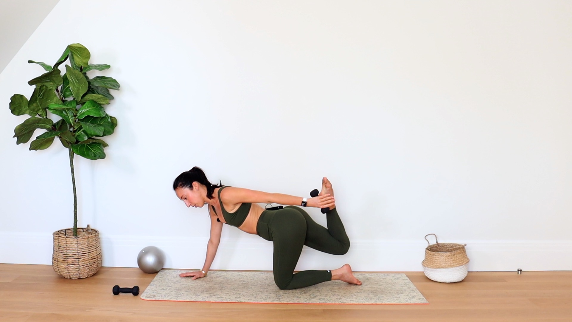 25 Min Arms & Abs Sculpt 13