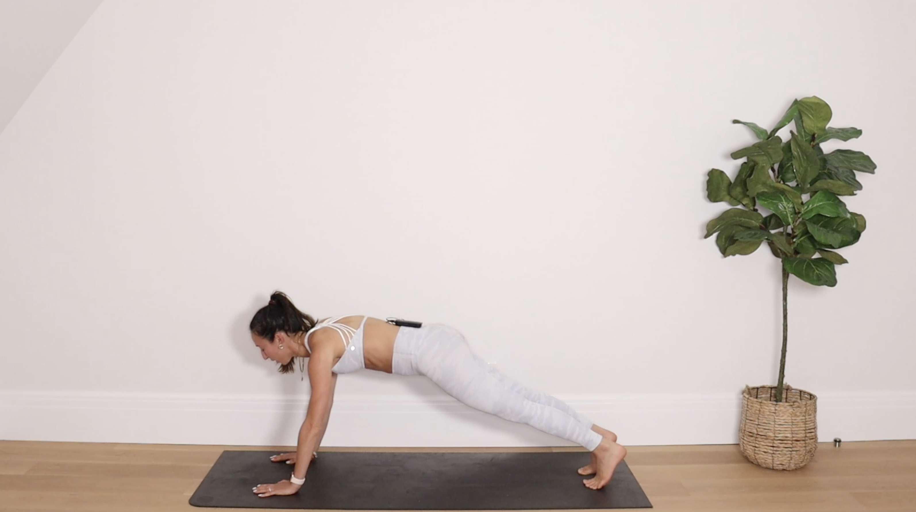 5 Min Plank Challenge 2