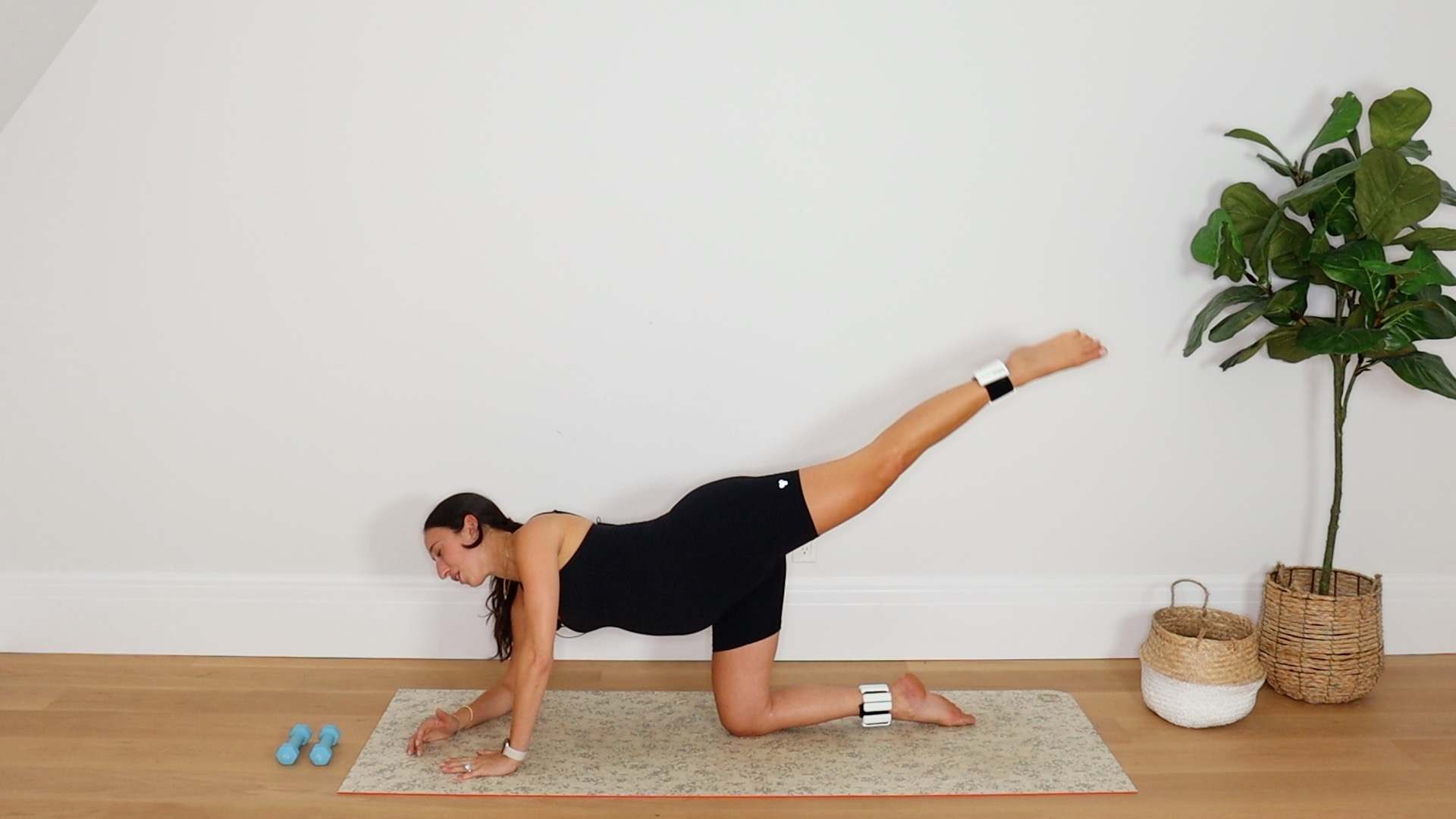 35 Min Full Body Sculpt & Tone 30 (Prenatal Friendly)