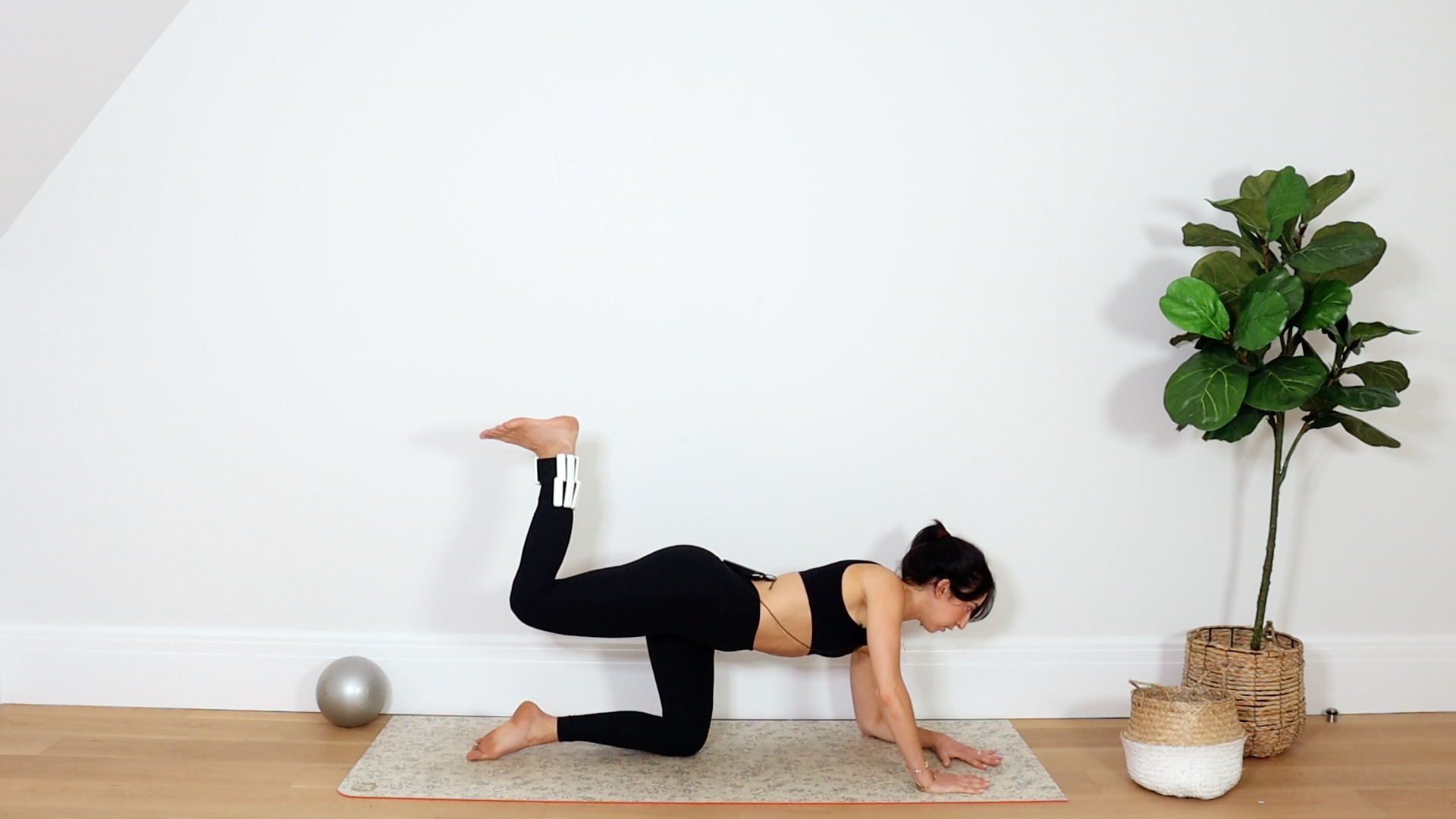 35 Min Booty, Abs & Inner Thighs Sculpt