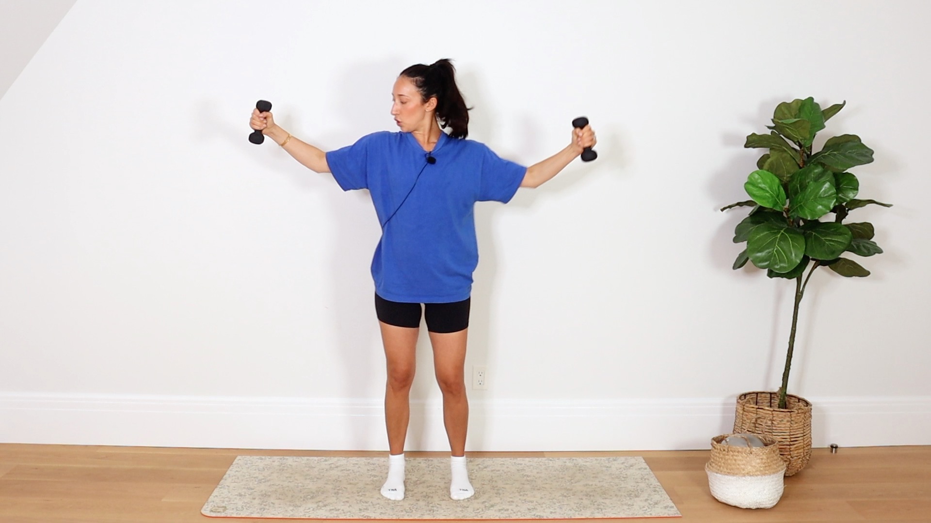 5 Min Express Arm Sculpt 13