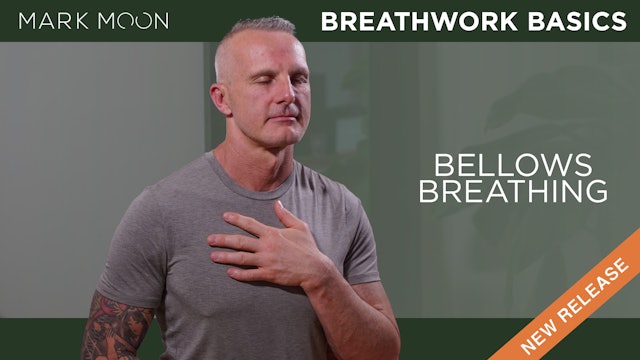 Mark Moon: Breathwork Basics - Day 3: Bellows Breathing