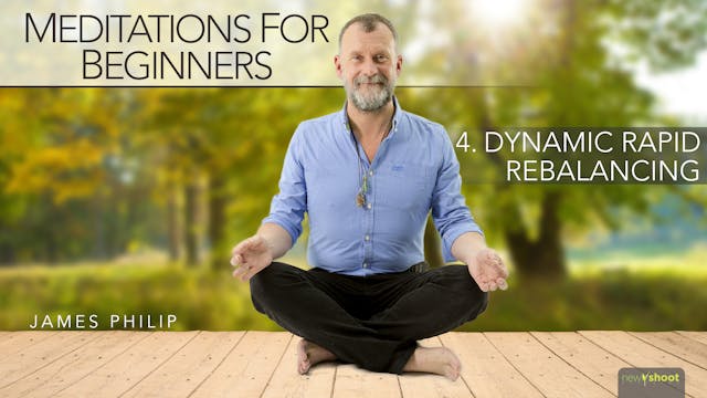 Meditations for Beginners: Rapid Reba...