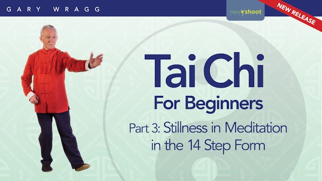 Tai Chi For Beginners with Gary Wragg: Part 3 - Stillness in Meditation 