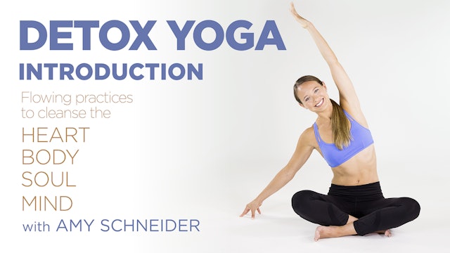Amy Schneider: Detox Yoga - Introduction