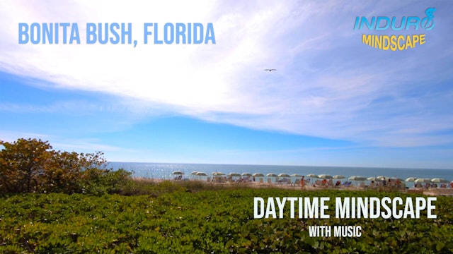 Induro Mindscape with Music: Bonita Bush Day Set, Florida