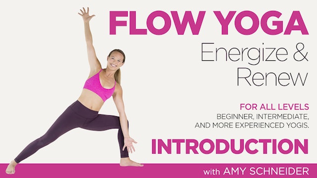 Amy Schneider: Flow Yoga Energize and Renew - Introduction