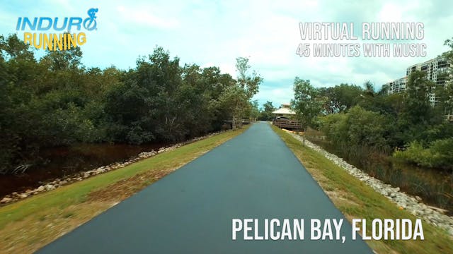 Induro Running: Pelican Bay, Florida ...