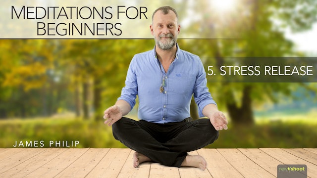 Meditations for Beginners: Stress Release
