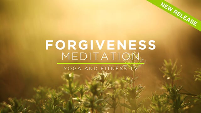Meditation: Forgiveness