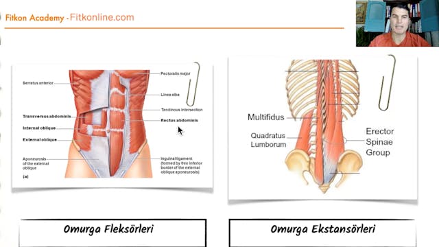 Anatomi 2: Egzersizde Kaslar, Kemikler, Eklemler, Anatomik Düzlemler