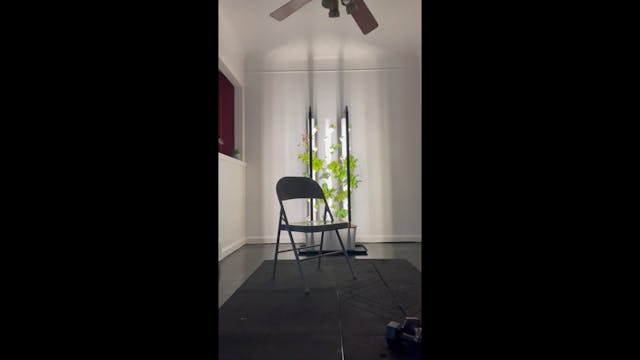 Chair fitness 81