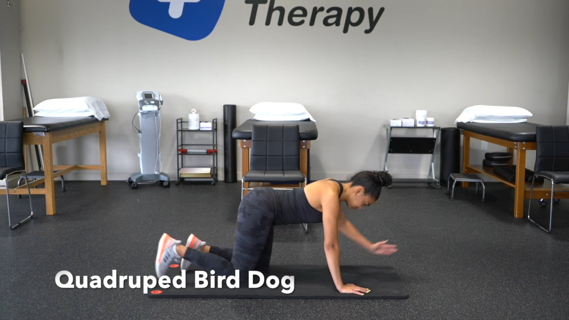 Quadruped Bird Dog - Phase 2