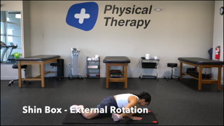 Shin Box External Rotation - Phase 1