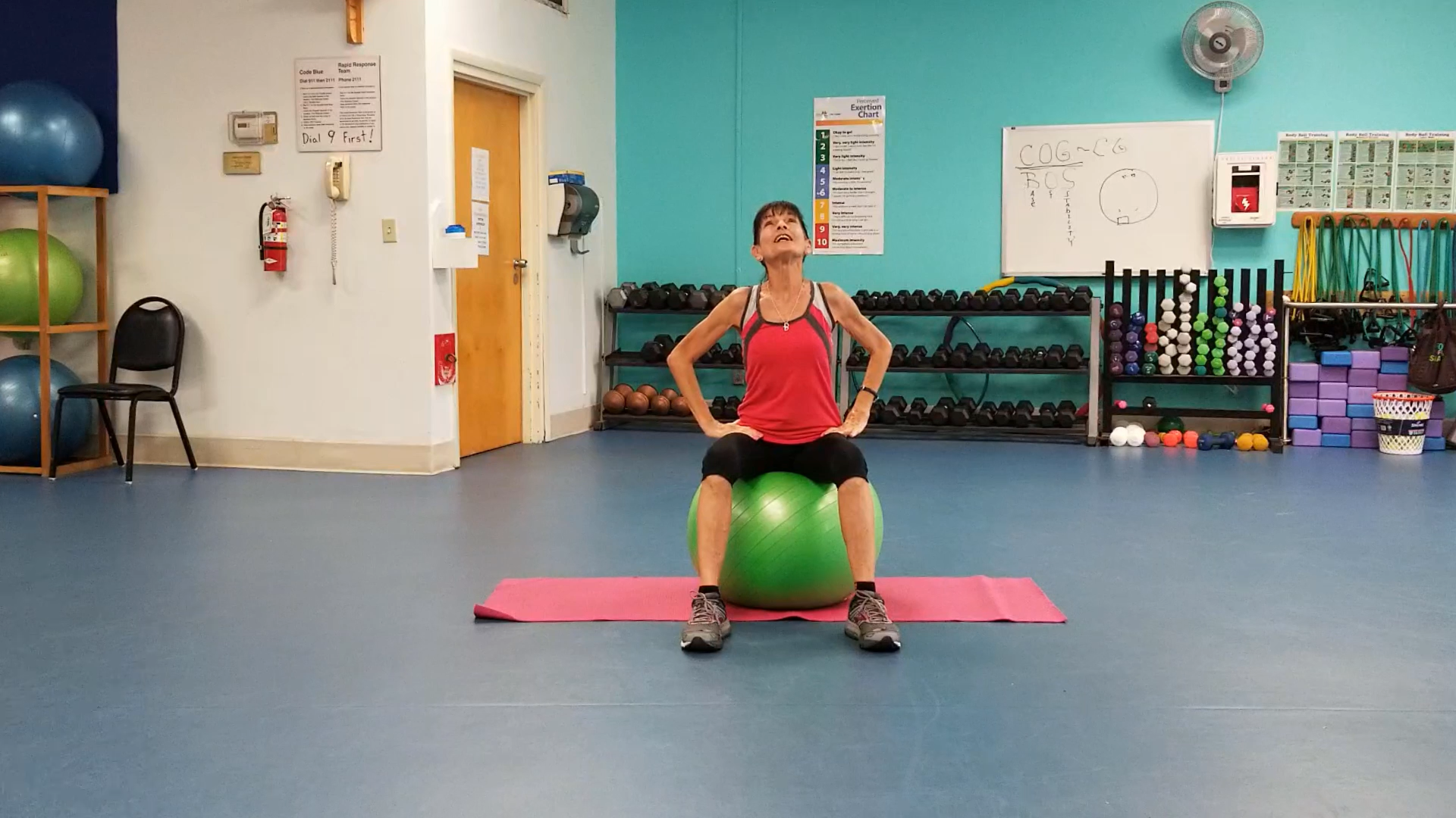 Exercise Ball Moves For Back Pain