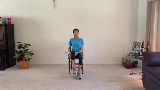 CHAIR STRETCHES For Seniors - 15 Minu...