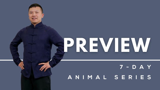 Animal Qi Gong Preview