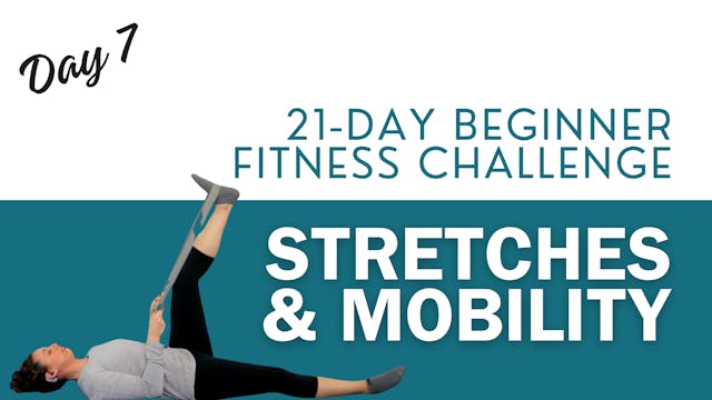 Stretches & Mobility for Beginners