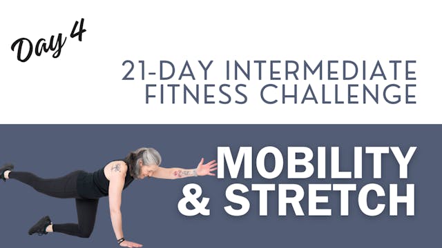 Mobility & Stretch