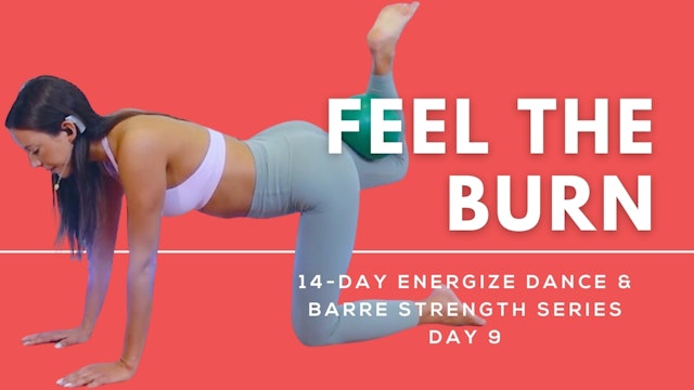 Barre Inner & Outer Thighs