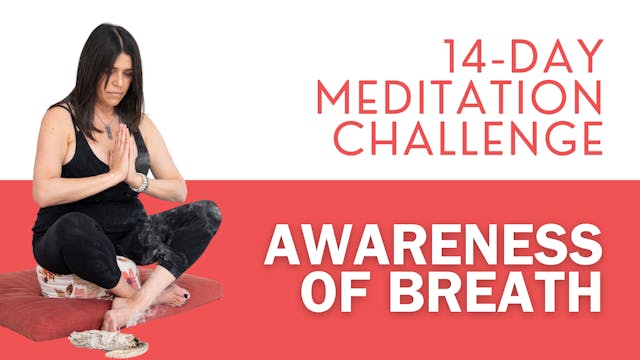 14 Day Meditation Challenge - Awarene...