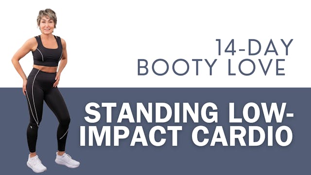 Standing Low Impact Cardio