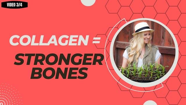 Bone Health - Collagen