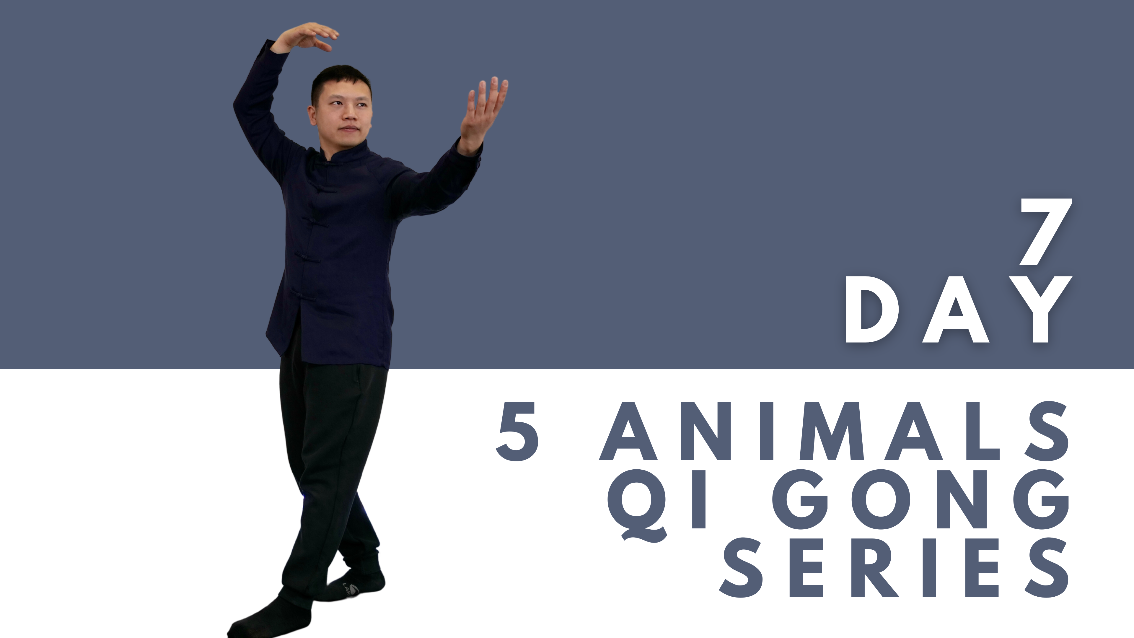 Five Animals Qi Gong - Over Fifty Fitness