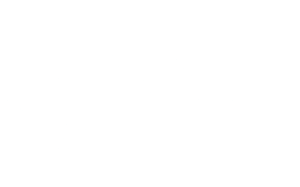 Fit Pregnancy Plan