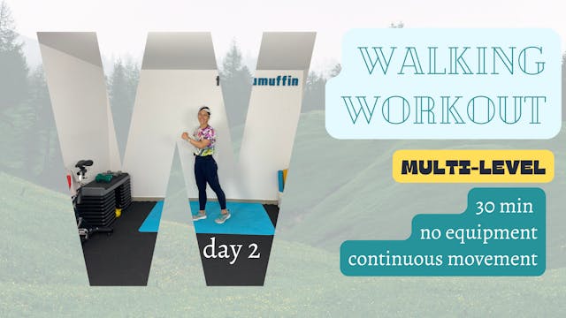 30 Minute Multi-Level Walking Workout #2