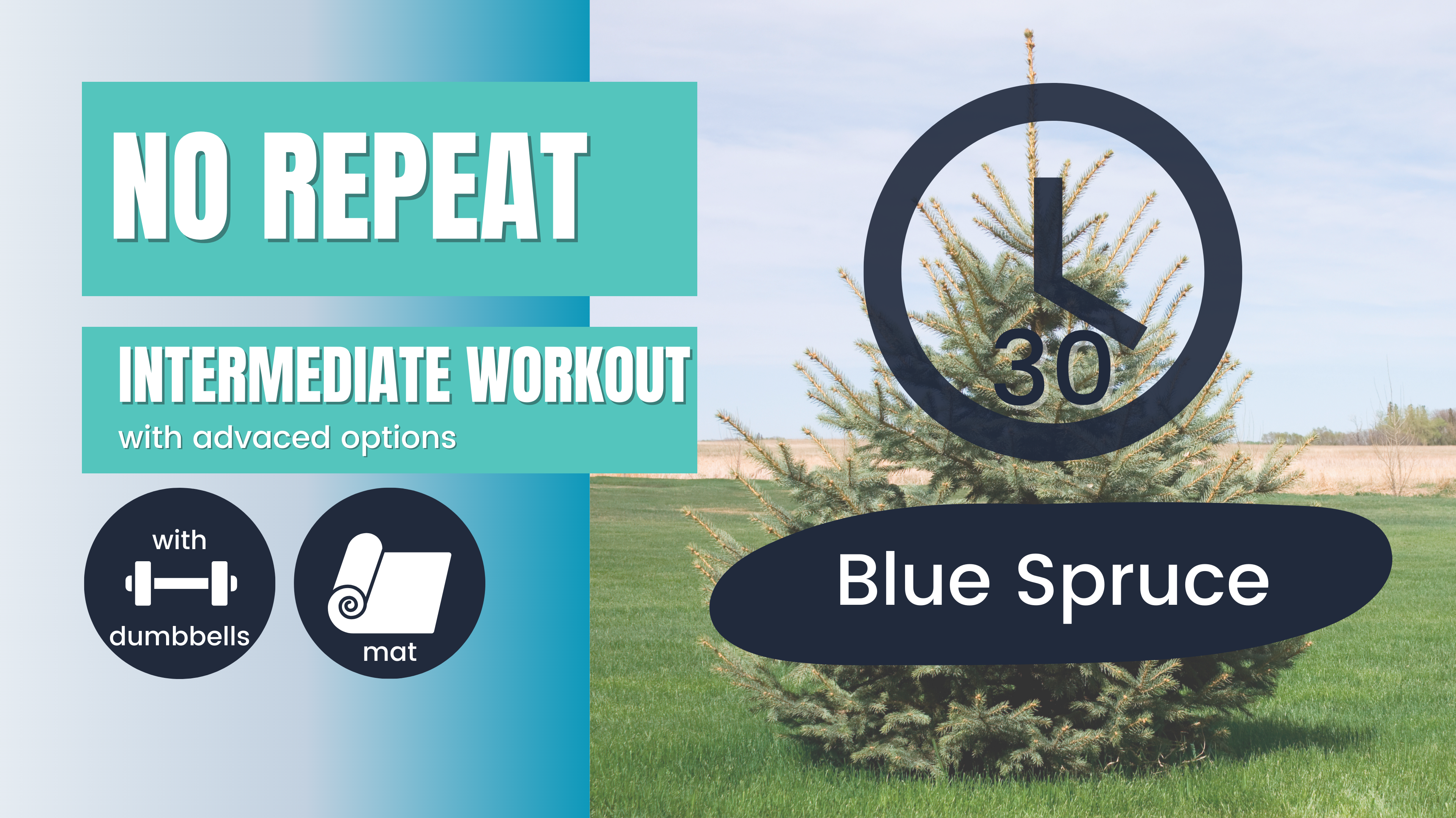 No Repeat (No Equipment Endurance) Intermediate 30; Blue Spruce
