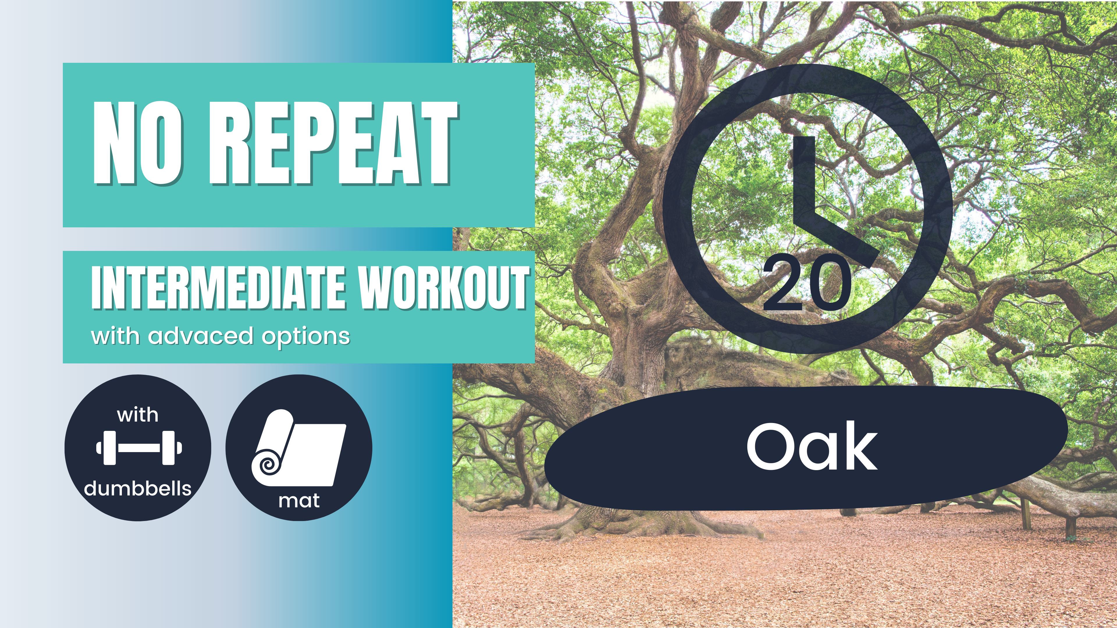No Repeat (No Equipment Endurance) Intermediate 20; Oak