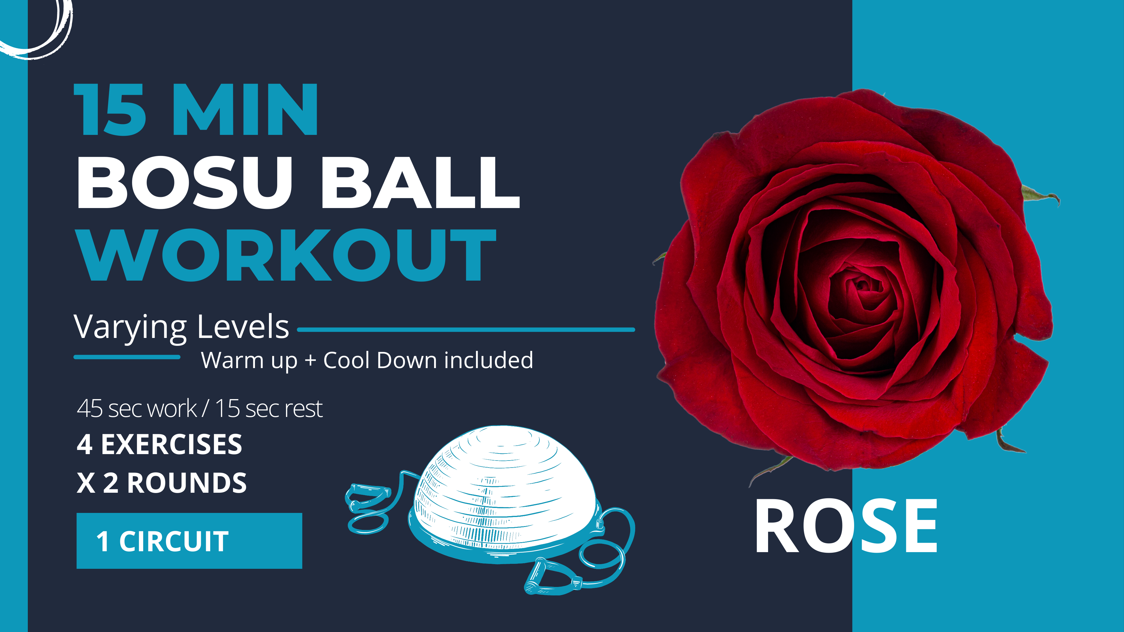 Special Equipment // BOSU: Balance & Endurance 15 "Rose"