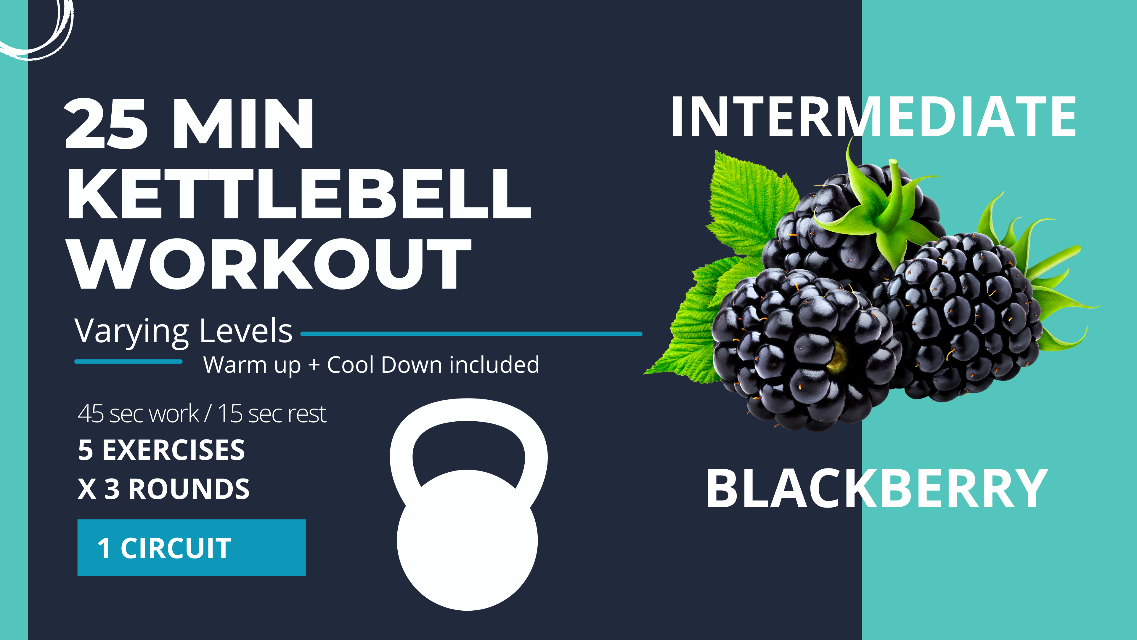 Special Equipment // KETTLEBELL: Intermediate Strength 25 "Blackberry"