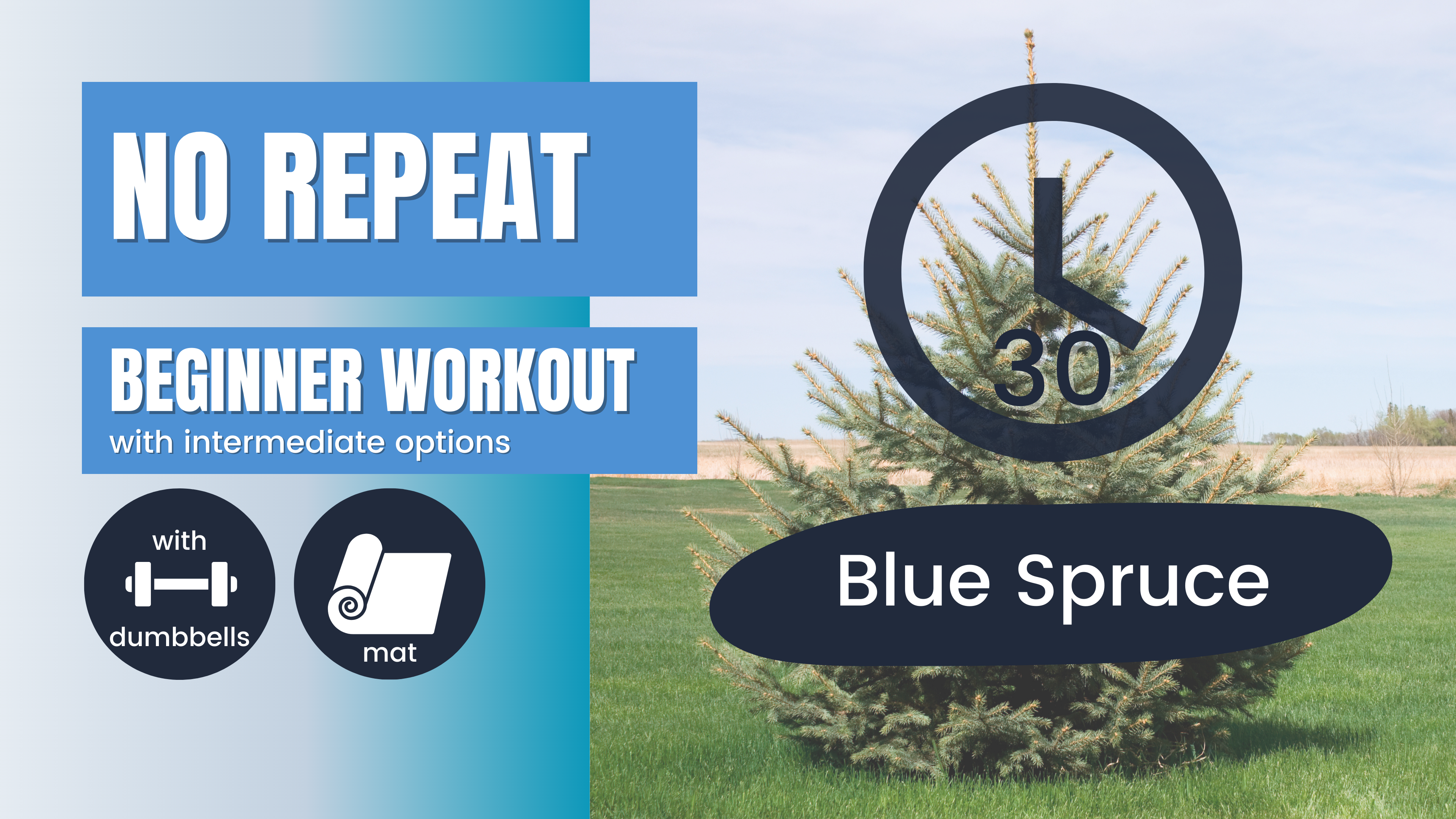 No Repeat (No Equipment Endurance) Beginner 30; Blue Spruce