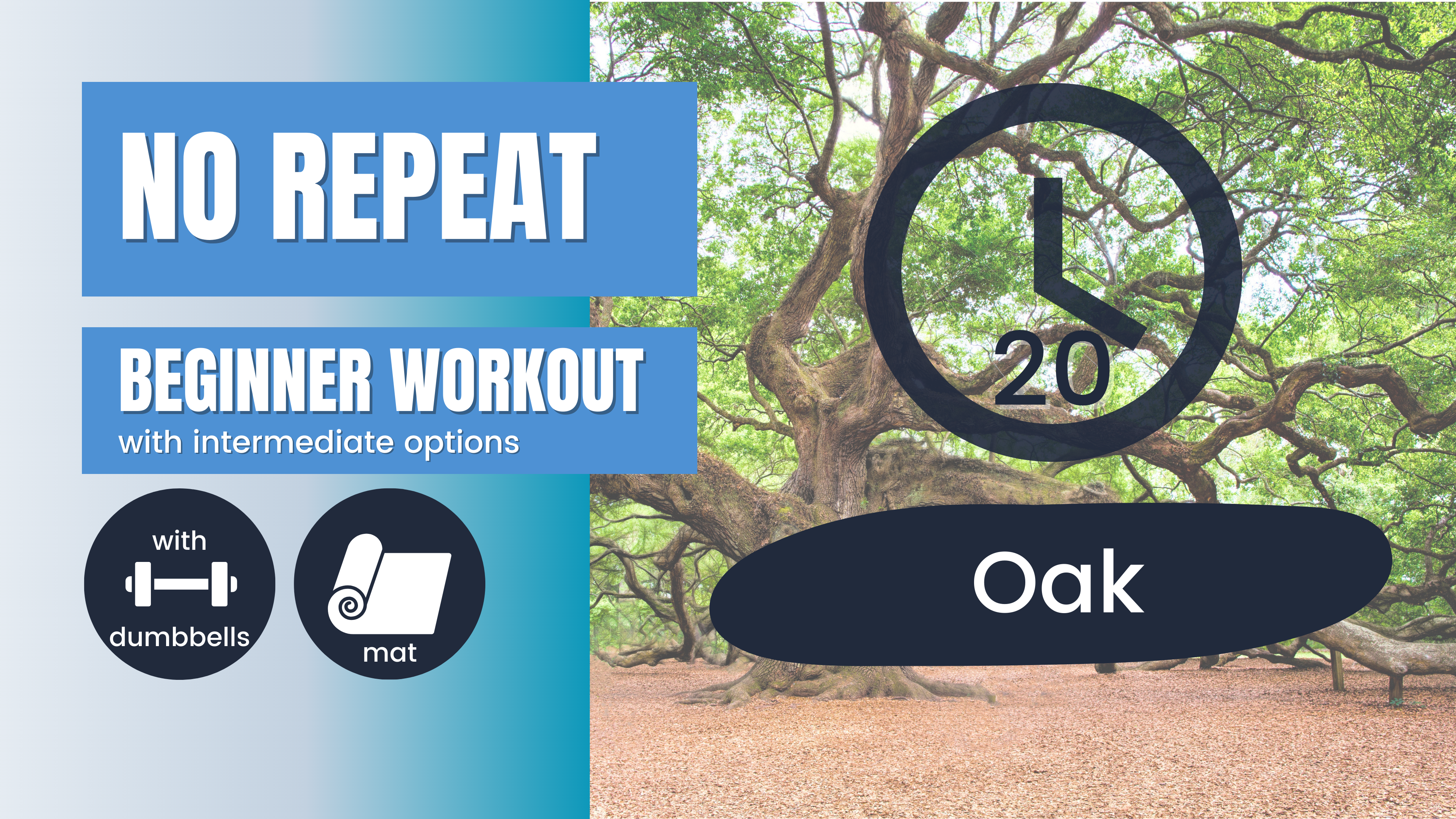 No Repeat (No Equipment Endurance // Total Body) Beginner 20; Oak