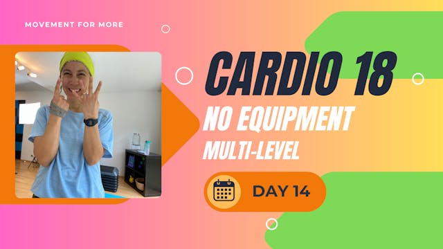 CARDIO18 No Equipment Workout DAY 14