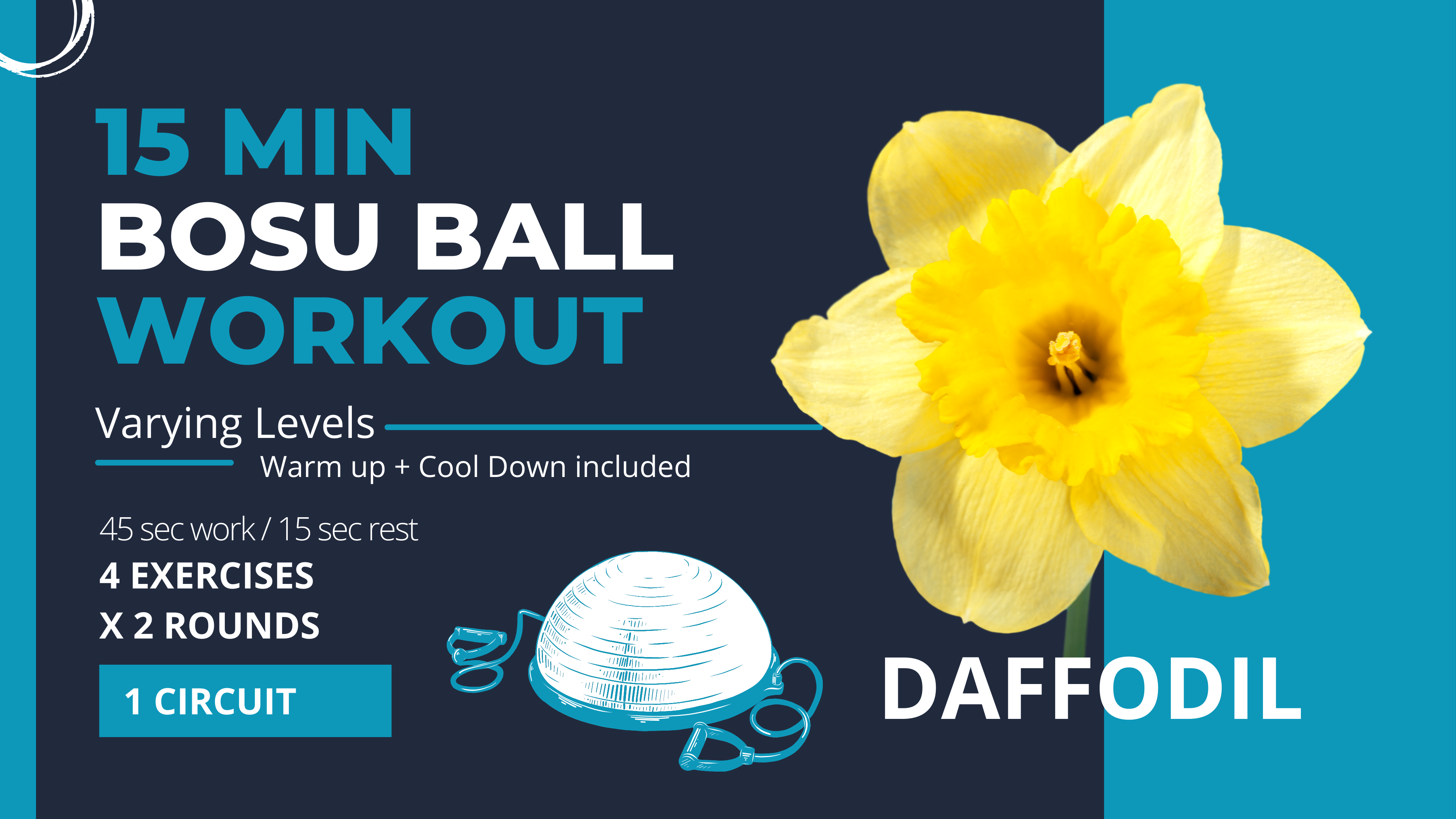 Special Equipment // BOSU: Balance & Endurance 15 "Daffodil"