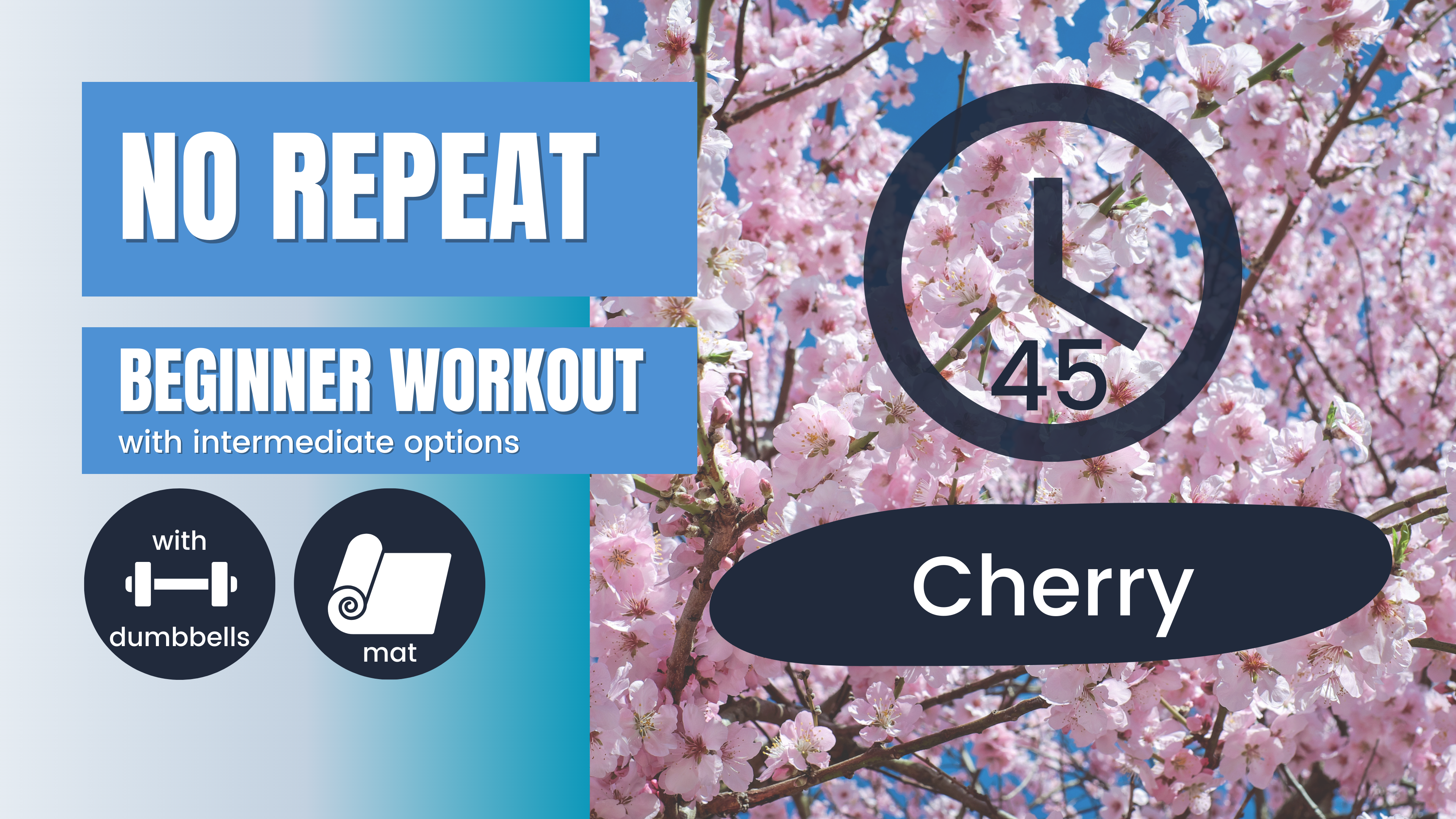 No Repeat (No Equipment Endurance) Beginner 45; Cherry