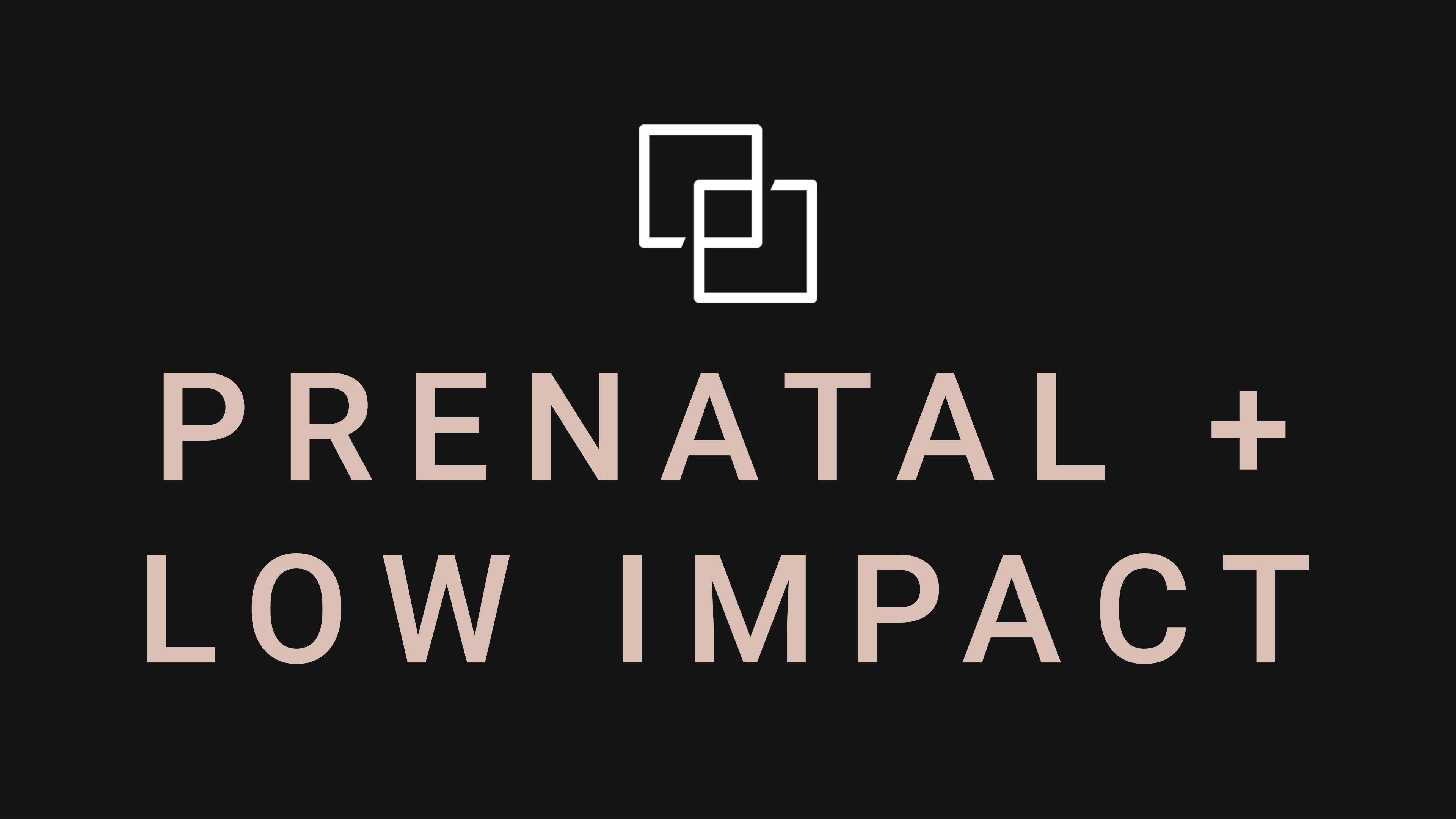 BEGINNER + PRENATAL + LOW IMPACT