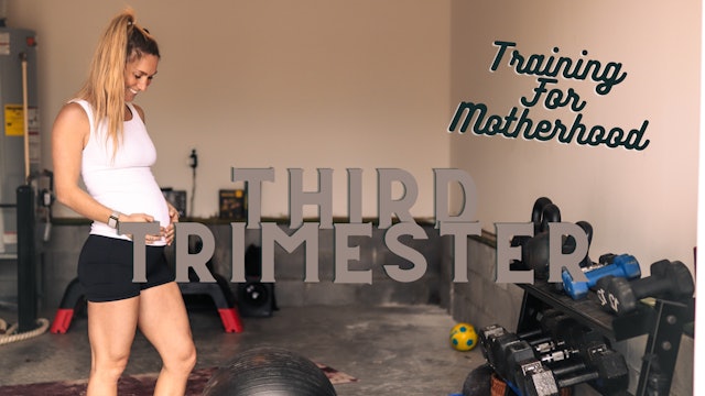 TFM Third Trimeter Intro PDF