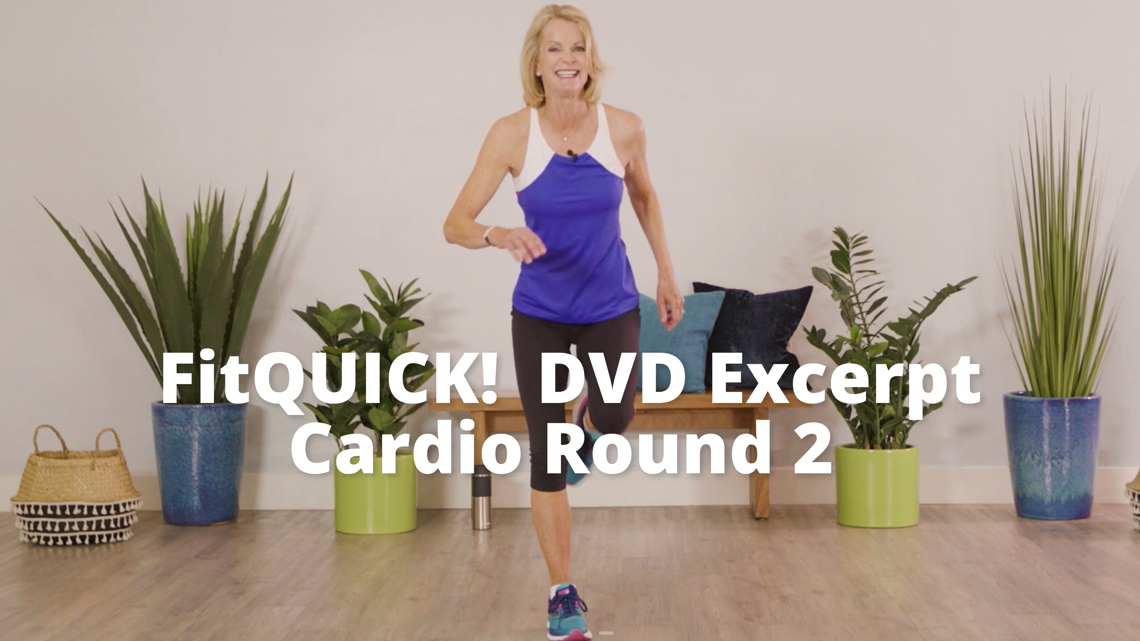 FitQUICK! DVD Excerpt   Cardio Round 2