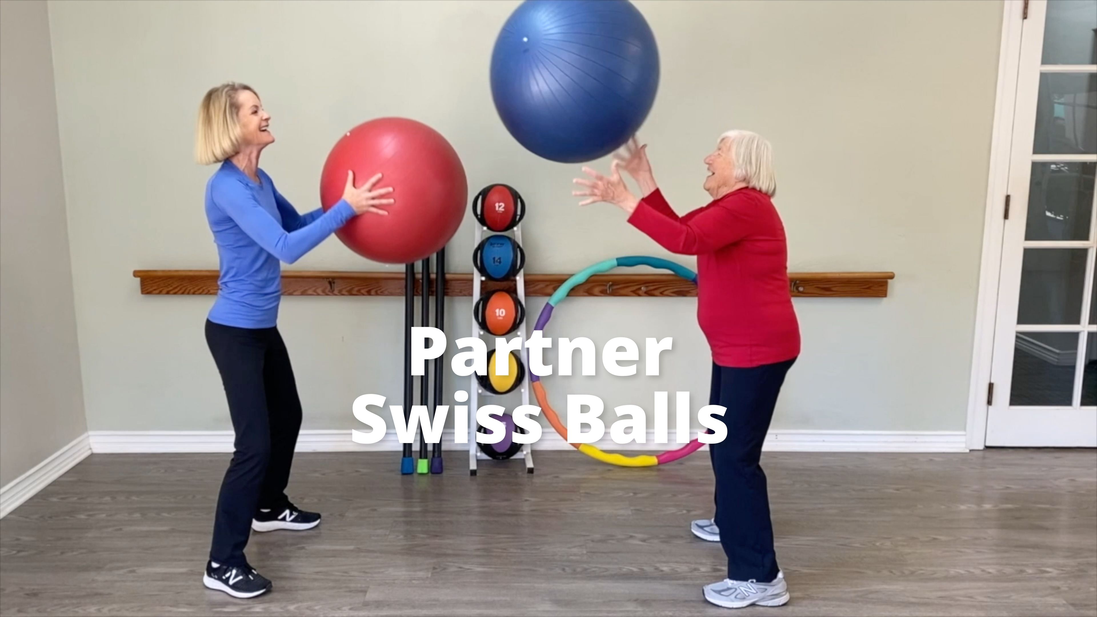  Partner Swiss Balls